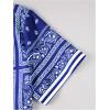 imageMens 2 Piece Summer Outfits Paisley Boho Short Sleeve Button Down Shirts and Short Sets TracksuitBlue
