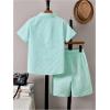 imageBoys 2 Piece Beach Vacation Textured Linen Outfit Short Sleeve Button Down Shirt Top and Shorts Summer SetMint Green