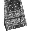 imageBoys Paisley Shorts Boho Drawsring Casual Gym Beach Bandana Shorts Summer Shorts for BoysBlack Printed