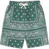 imageMens Paisley Drawstring Summer Gym Workout ShortsLight Green