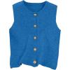 image:imageWomens Button Down Sweater Vest Sleeveless Crewneck Knit Outerwear Old Money KnitwearBlue